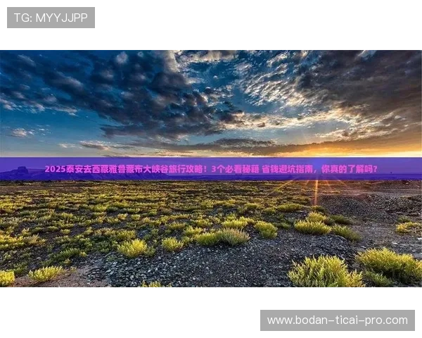 大型体育赛事预热期体育竞猜防骗避坑指南